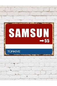 samsun-surucu-kurslari