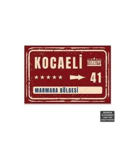 Kocaeli Sürücü Kursları