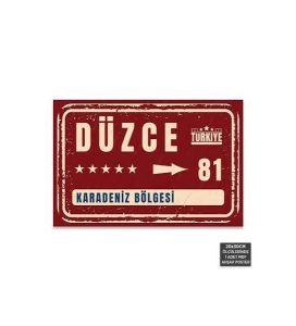 duzce-surucu-kurslari