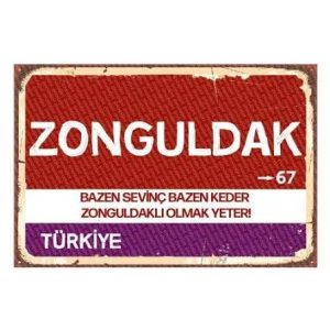 zonguldak-surucu-kurslari